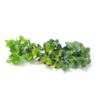 Jade Suculenta Artificial 7H (31cm)
