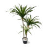 Yuca Arbusto Artificial com 3 troncos (95cm)