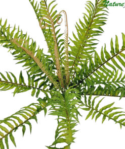 Samambaia Verde Folhagem Pendente Artificial (50cm)