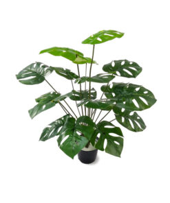 Arbusto Artificial (60cm) Costela-de-Adão
