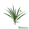 Folha de Orquídea Cymbidium com Broto Artificial (34cm)