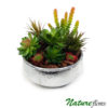 Vaso de Cerâmica Grés Prata (25×9,5cm) decorada com Suculentas