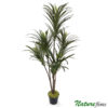 Dracena Marginata Árvore Artificial (1,20m)