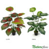 Tinhorão Caladium Arbusto Artificial (60cm)