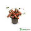 Begônia Mini Buquê Floral Artificial (28cm) - pêssego em Vaso Rattan em Cimento P 11x11x10cm