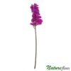 Orquídea Borboleta Pink Flor Artificial em Silicone (57cm)