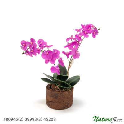 Arranjo de Orquídea Pink com folhas verdes em vaso natural de fibra de coco