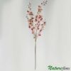 Mini Orquídea Galho Artificial 5H 51FL (105cm) - mesclado