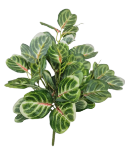 Buque Folhagem de Pata (40cm)