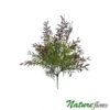 Rhipsalis Mesclado Cactus Artificial 5H (37cm)