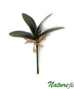 Folha de Orquídea Phalaenopsis Artificial 4F (22cm)