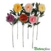 Peônia Galho de Flor Artificial (80cm)
