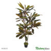 #19619: Dracena Marginata Árvore Artificial (1,70m) - vermelho