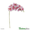 #22206: Orquídea Borboleta Galho Artificial 9F (1,00m) - branco/rosa