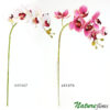 Orquídea Phalaenopsis 3D 7F (75cm)