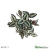 #41511: Lambari Folhagem Artificial 5H (30cm) - verde