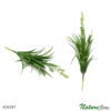 #58397: Cacto Artificial com Broto (25cm) - verde
