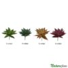 Agave Decora Suculenta Artificial (13cm)