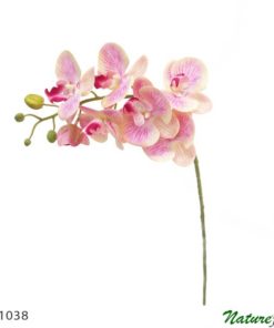 #61038: Orquídea Phalaenopsis 3D 7F (75cm) - rosa
