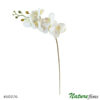 #60376: Orquídea Branca Phalaenopsis em Silicone 6F (94cm)