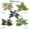 Folhagem Buquê Artificial 9F (42cm)
