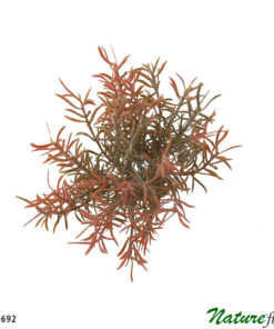 Pick Alecrim Folhagem Artificial 6H (26cm) - mesclado