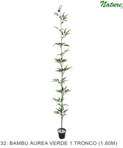 #11132: Bambu Áurea Verde 1-haste Árvore Semi-Artificial (1,80m) com pote plástico