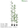 Bambu Áurea 1H Árvore Semi-Artificial (90cm - 1,80m)