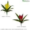 #42051: Bromélia Mini em Silicone Planta Artificial (22cm)