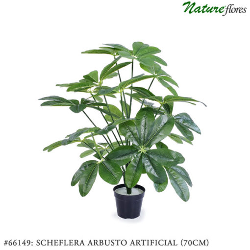 #66149: Scheflera Arbusto Artificial (70cm)
