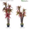 #15369: Dracena Árvore Semi-Artificial (1,20m) - Vermelho