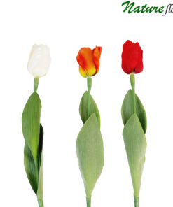 Tulipa Galho Floral Artificial (65cm)