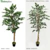 Ficus Árvore Semi-Artificial (1,80m)