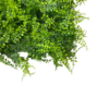 Placa Samambaia UV Jardim Vertical Artificial (50x50cm)