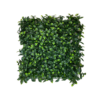 Placa Ficus UV Jardim Vertical Artificial (50x50cm)
