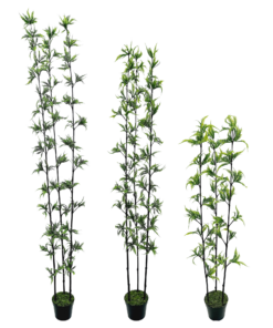Fern Arbusto 3H c/ Pote (90cm - 1,80m)