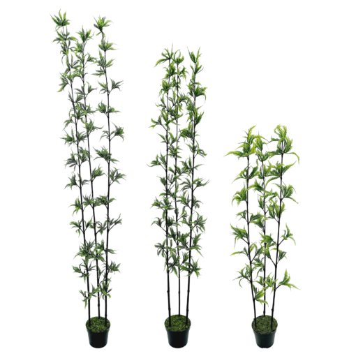 Fern Arbusto 3H c/ Pote (90cm - 1,80m)