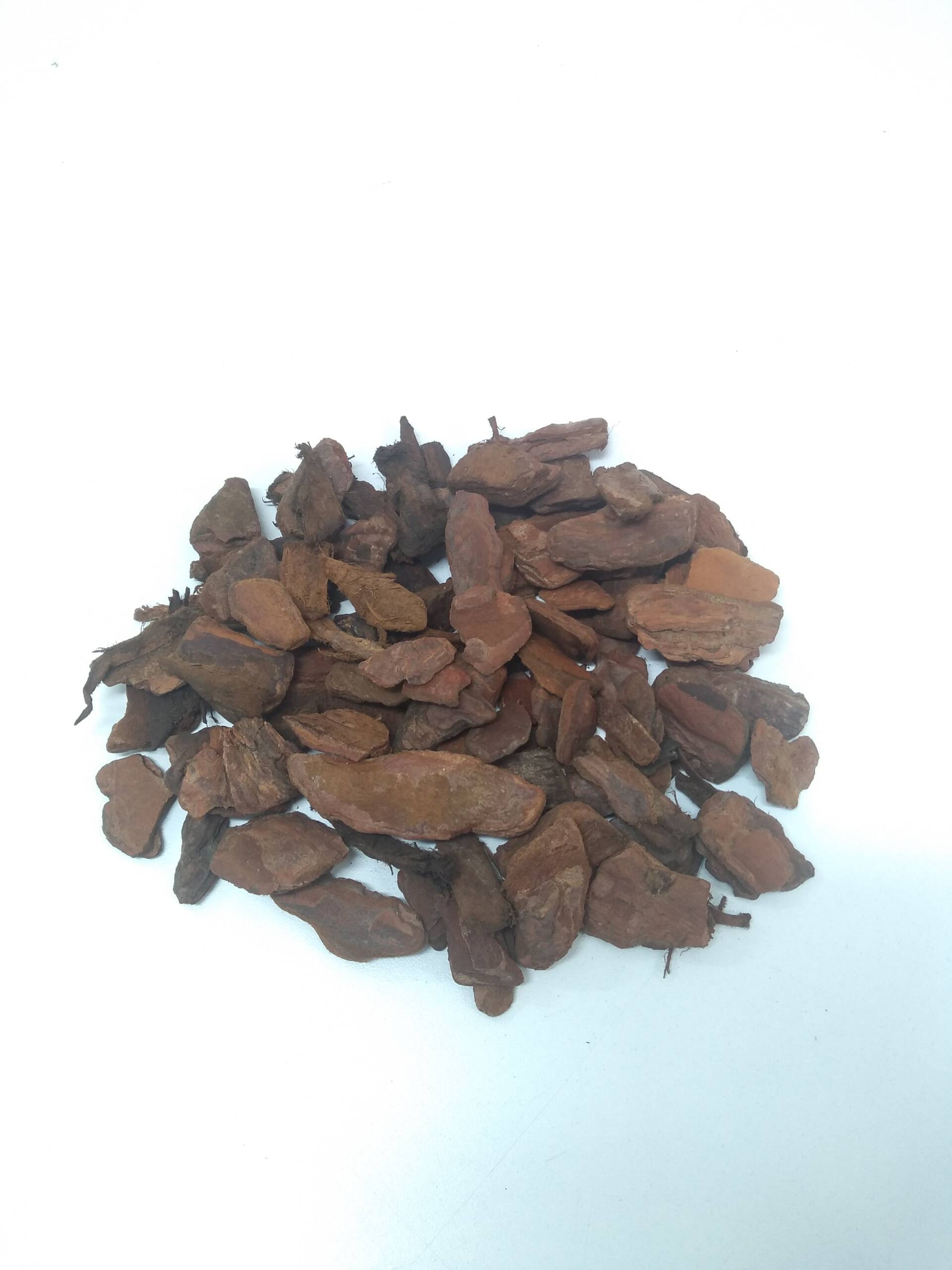 Casca de Pinus Pequena Série Ouro para Forração