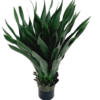 Agave 40 Folhas (70CM) Verde - Image 5