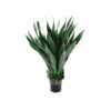 agave-40-folhas-70cm-verde