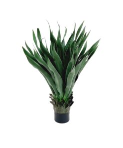 agave-40-folhas-70cm-verde