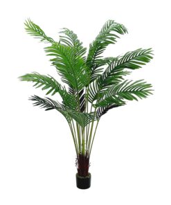 Palmeira Fenix 16 Folhas no Pote (1,65M) Verde