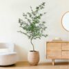 bambu-mosso-verde-arvore-semi-artificial/