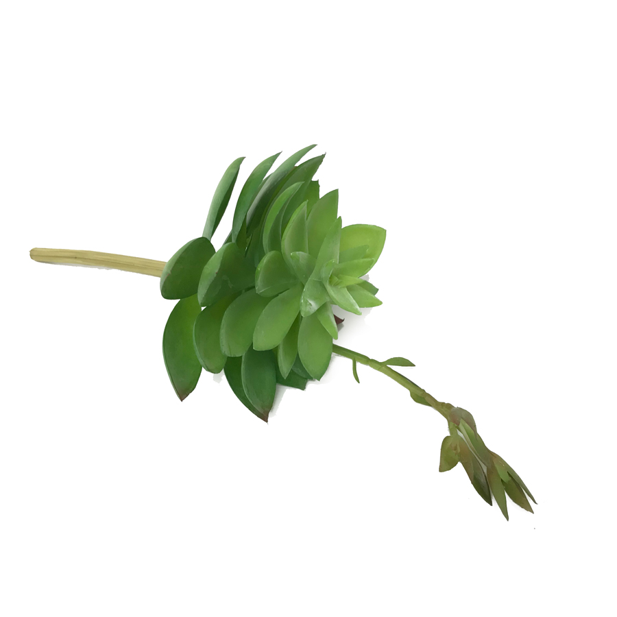 Rosa de Pedra com Broto (20cm) - Imagem 3