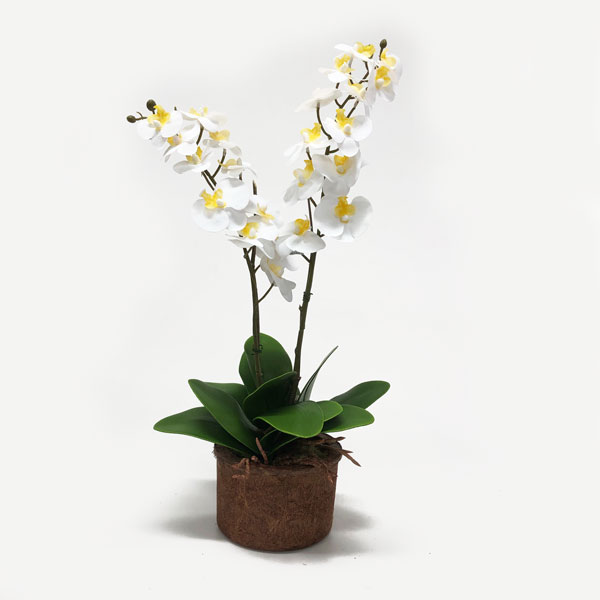 Orquídea Borboleta Branca Flor Artificial em Silicone (57cm) - Imagem 2