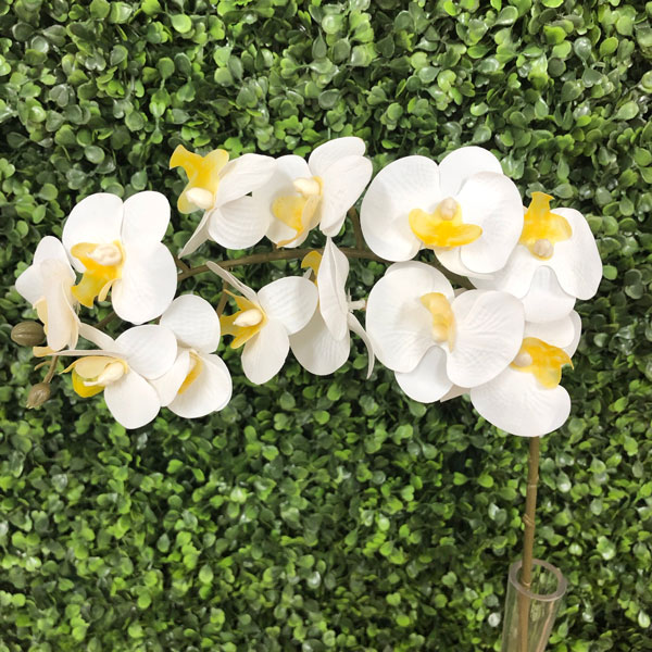 Orquídea Borboleta Branca Flor Artificial em Silicone (57cm) - Imagem 5