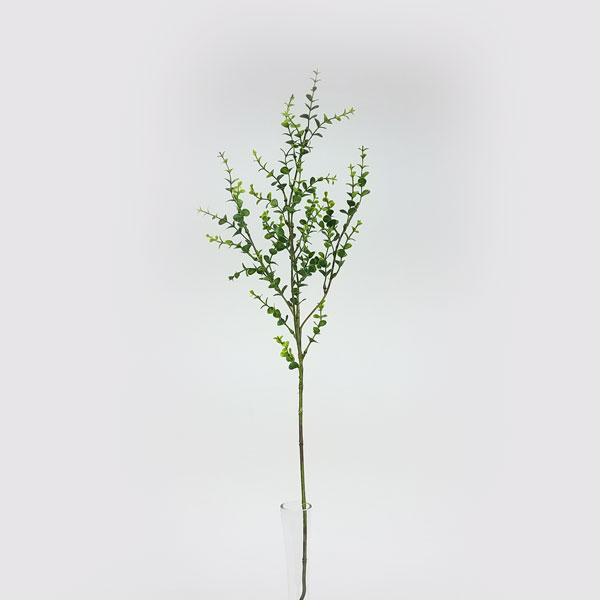 Haste de Eucalipto artificial (75cm) - Imagem 6