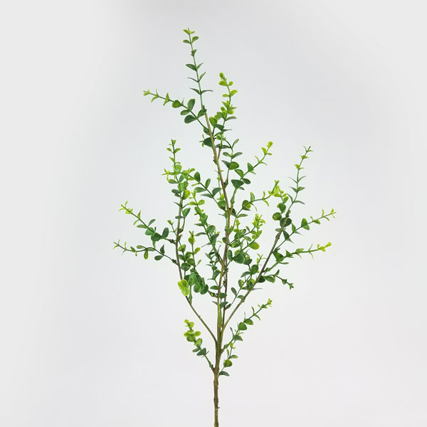 Haste de Eucalipto artificial (75cm) - Imagem 7