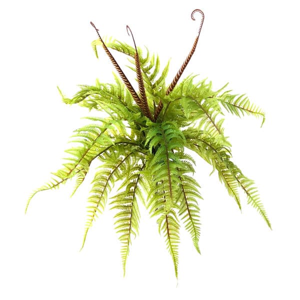 Samambaia Toque Natural Folhagem Artificial (60cm) - Imagem 3