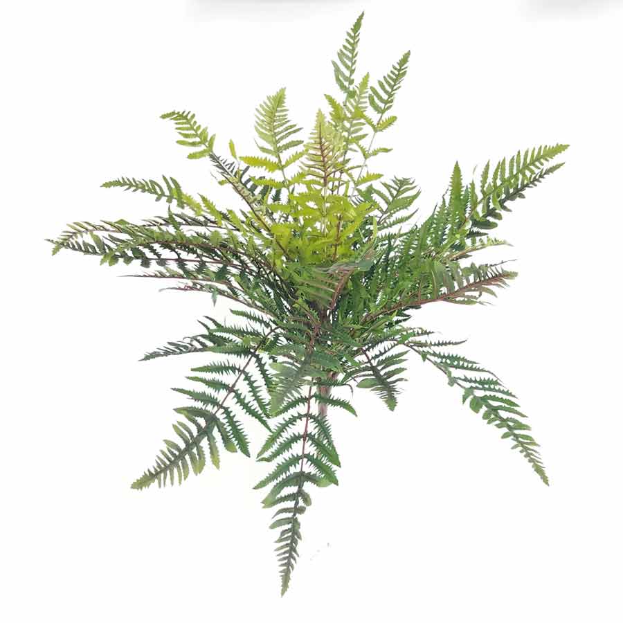 Samambaia Toque Natural Folhagem Artificial (60cm) - Imagem 7